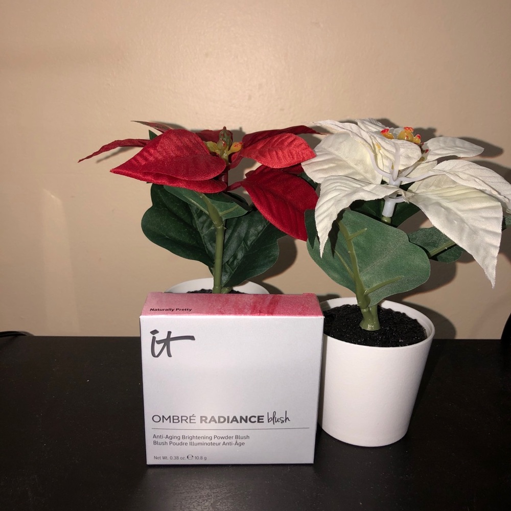 It cosmetics ombré radiance blush